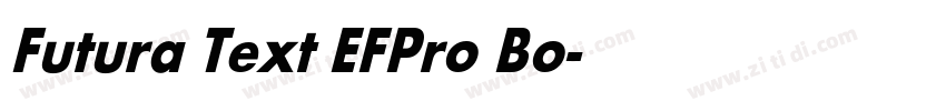 Futura Text EFPro Bo字体转换